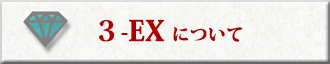 3-EXについて